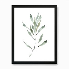 Watercolor Leaf, Olive Branch