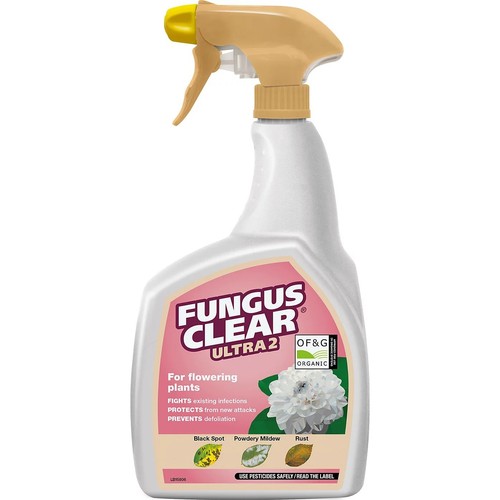 Plant rose fungus clear ultra2 - fungus,