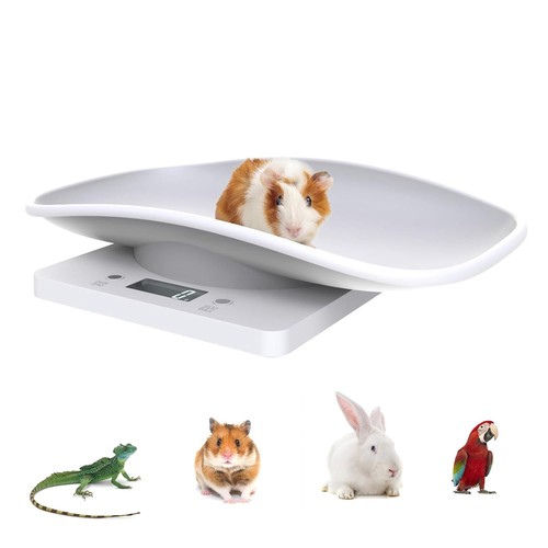 Multi function digital pet - multi-function,