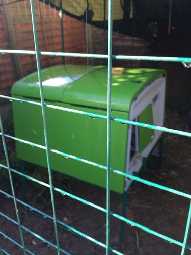 Omlet eglu cube with - cube, ladder