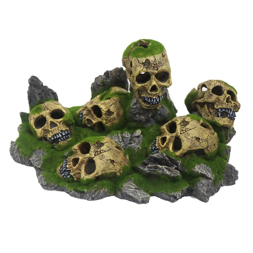 Betta skull mound - betta, aquarium