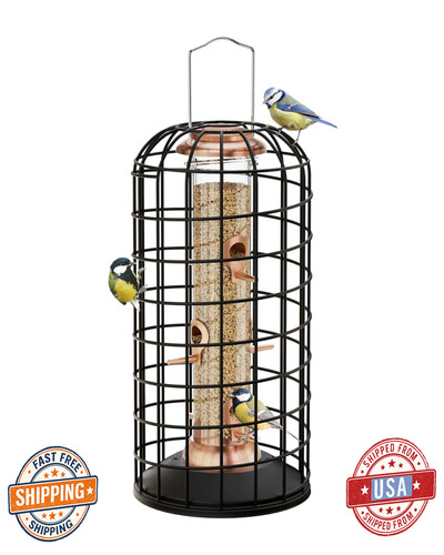 Iborn squirrel proof bird - squirrel,