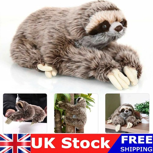 Plush sloth soft - sloth, kids
