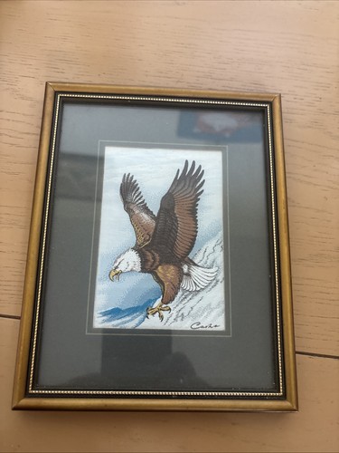 Cash bald eagle s - cash, cash’s