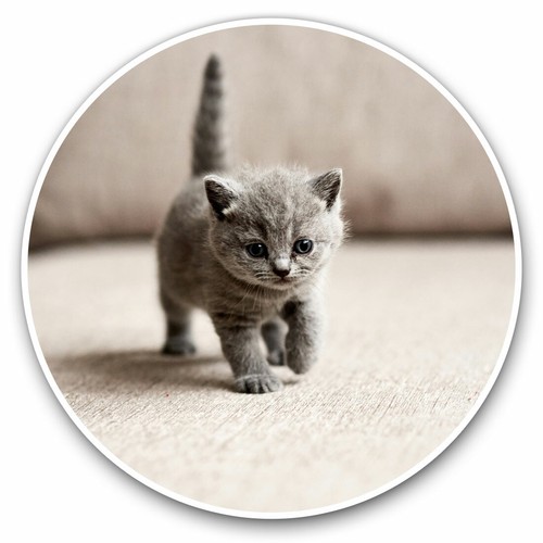 Vinyl stickers 15cm - 2,