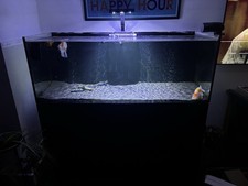 Red Sea Reefer 525xl 