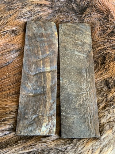 Rams horn knife handle - knife,