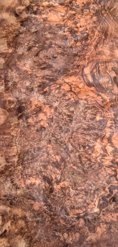 Burr burl walnut veneer - burr/burl, cm