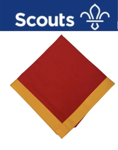 Scouts adult size - adult,