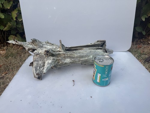 Bogwood spider wood corbo - wood, root