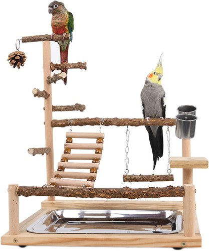 Wishesmar bird playground - bird,