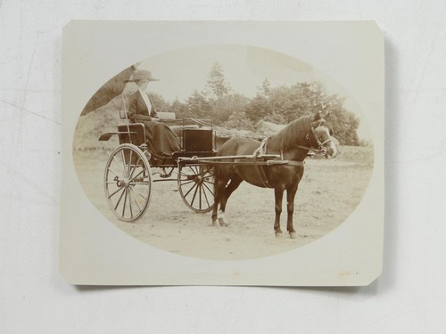 Woman horse drawn carriage - woman,