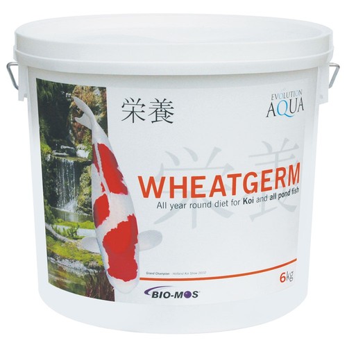 Evolution aqua wheatgerm - wheatgerm, koi