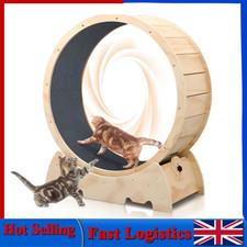 Wooden Cat Exercise Wheel Large Indoor Running Treadmill with Detachable Carpet