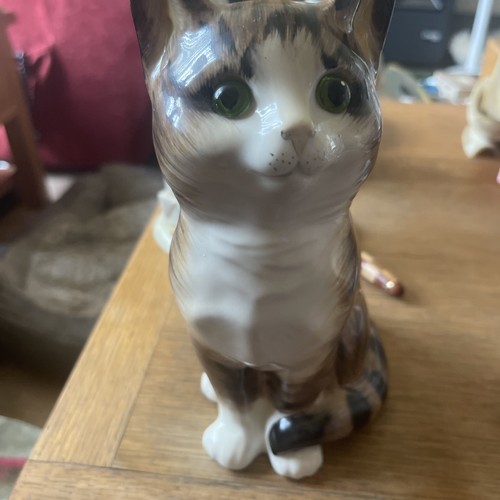 Just cats co staffordshire - just,