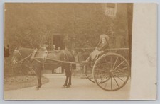 RPPC Edwardian Lady in Hat with Pony & Trap Gig Outside Ivy Clad House Photo