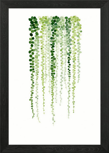 String pearls plant - string,