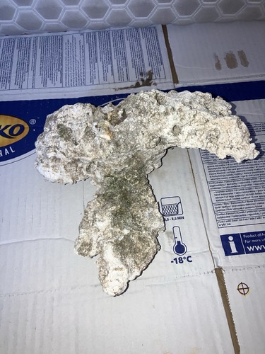 Rk3 unique dry tonga - rk3, rock