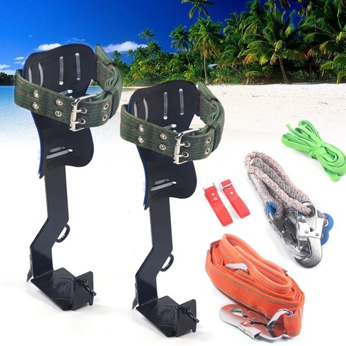 Pair tree pole climbing - 1,