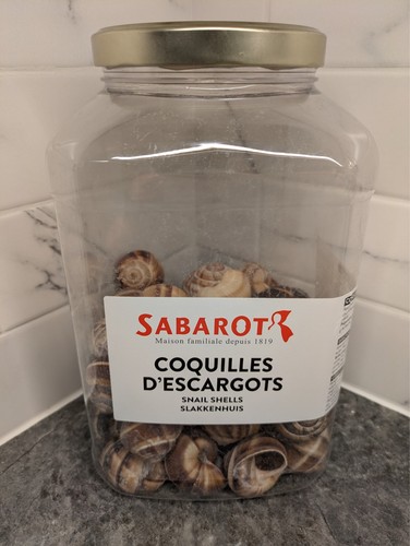 Sabarot snail shells helix - sabarot,