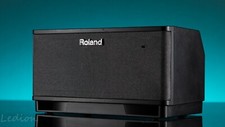 Roland Cube Lite Monitor - Desktop Amplifier And Music Dock with power adapter