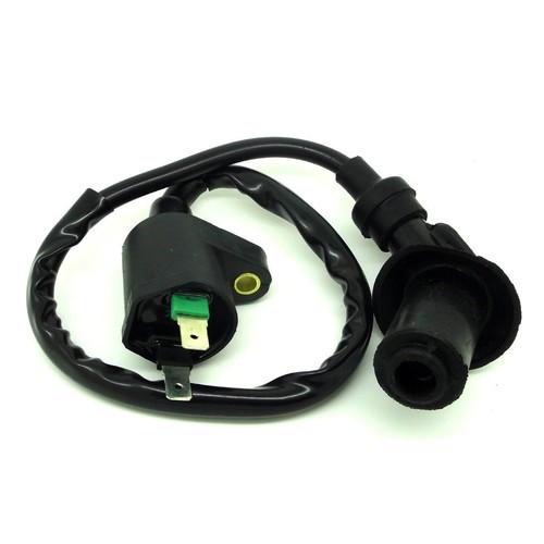 Ignition coil for polaris - ignition,