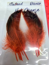 Lot of 6 pair  " Mallard