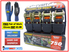 4 x Heavy Duty Ratchet Tie