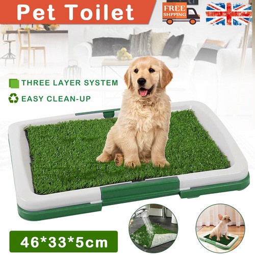 Pet dog toilet - mat, indoor