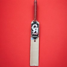 CA Pro 12000 English Willow