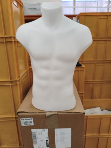 Half male mannequin - male,