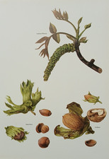 Vintage 1975 Walnut Flower