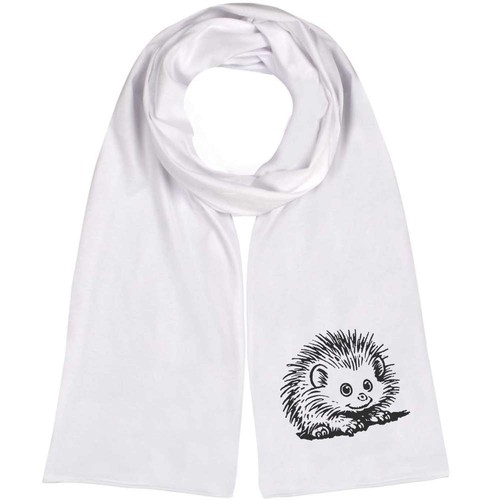 African pygmy hedgehog - 'african, hedgehog'