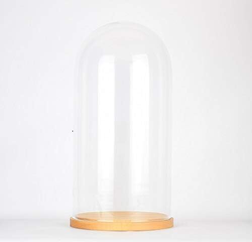 Glass dome cover cloche - dome,