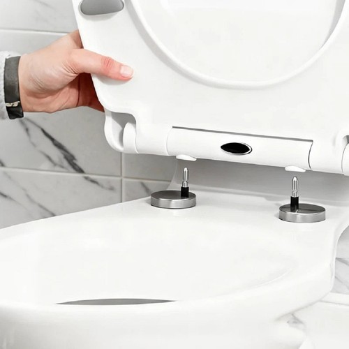 Quick release toilet - release, soft