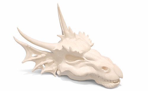 Dragon skull home décor - dragon,