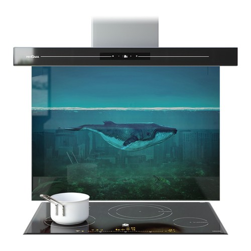 Kitchen glass splashback - kitchen,