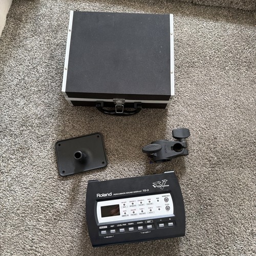 Roland brain module - brain, for