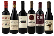 6 Bottle New World Red Wine Mixed Case 750ml | Malbec, Shiraz, Pinot Noir