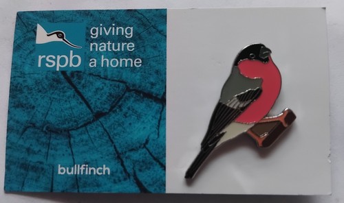 Rspb pin badge bullfinch - of,