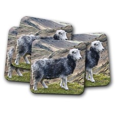 4 Set - Beautiful Herdwick