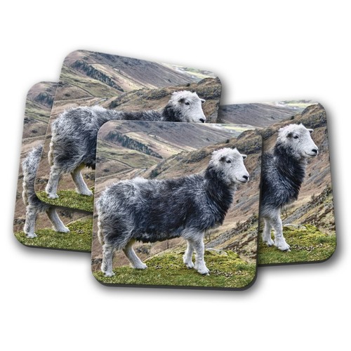 Set beautiful herdwick - set,