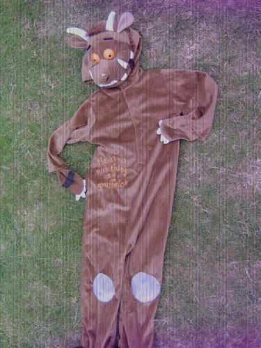 Gruffalo dressing costume - gruffalo, up