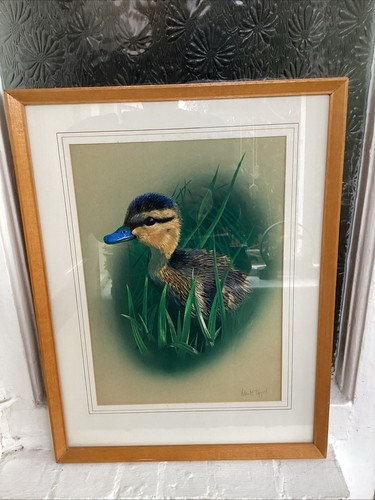 Vintage fluffy mallard - vintage,
