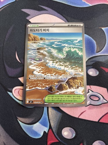 Surfing beach 112 083 ninja - beach,