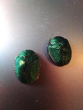Antique Pair of Real Scarab