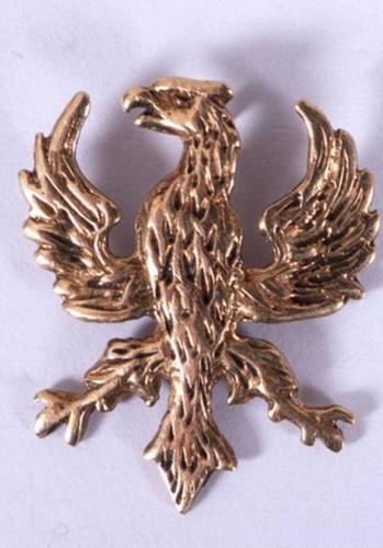 Irish republican phoenix badge - republican,