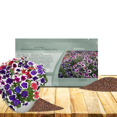 500 seeds petunia multiflora - seeds,