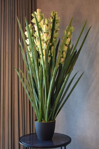 Artificial dwarf cymbidium - artificial,