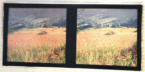 Autochrome stereo view - autochrome,